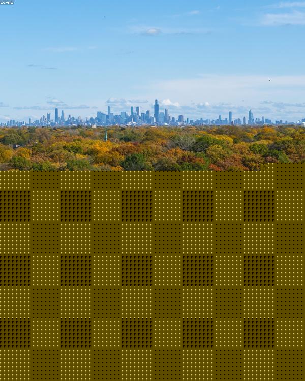 Семья рассматривает фотографии