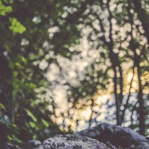 Теплый семейный момент